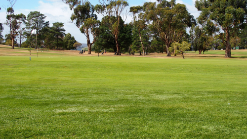 Tasmanian RSL Golf Challenge 2024